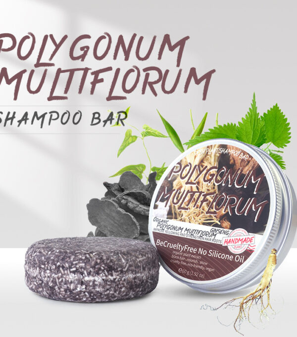 English version with aluminum box Polygonum multiflorum